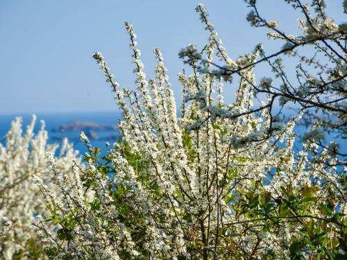 Semi-detached Home With Garden, 500m From The Beach, Golf Course - C�te D?armor