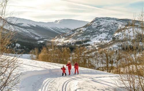Holiday Home Hemsedal Beitebu