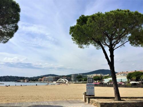 Apartment R�sidence Les Mimosas