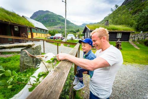 Hotel Byrkjedalstunet