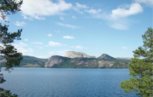 Holiday Home Nissedal Lindefjell