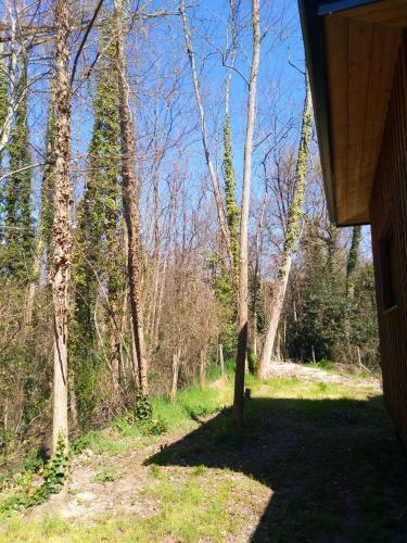 House With 3 Bedrooms In Saint Selve With Wifi