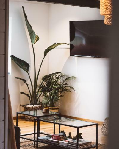 Bed & Breakfast Villa Sayulita Surfhouse