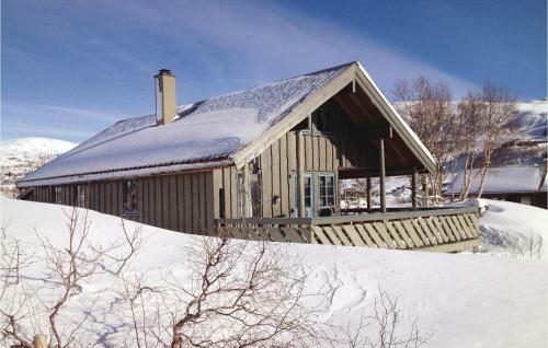 Holiday Home Vinje Skj�rdalen