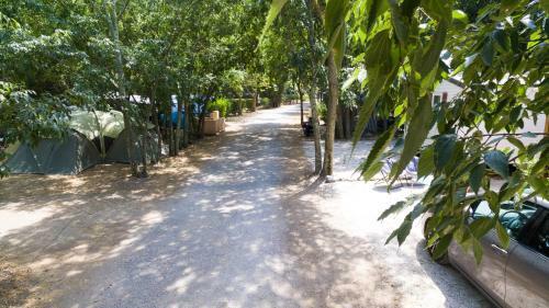 Camping Les Micocouliers