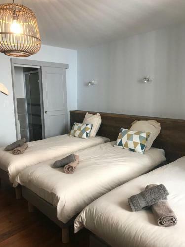 Bed & Breakfast G�te Le Pied Du G�ant - Local S�curis� Pour Les V�los