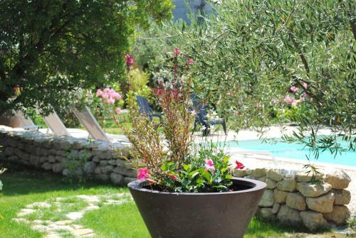 Bed & Breakfast Terre De Bacchus