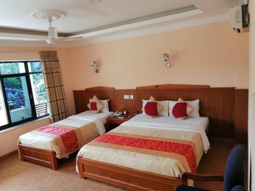 Lodge Hotel Wildlife Camp