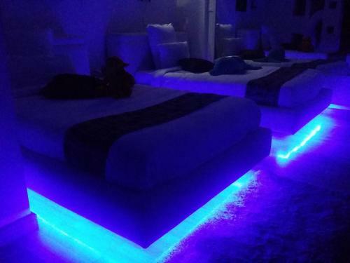 Royal Penguin Boutique Hotel
