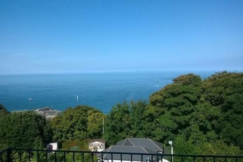 Hollies And Ilfracombe Harbour View