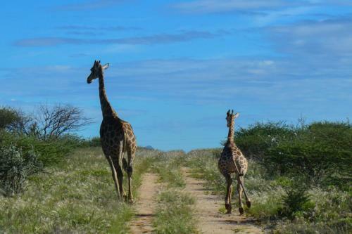 Agroturismo Onduruquea Guestfarm