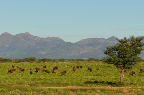 Agroturismo Onduruquea Guestfarm