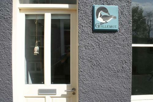 Guillemot