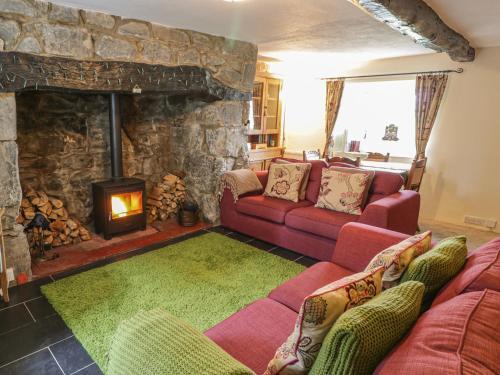 Plas Arenig