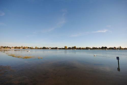 Oysters, Bosham