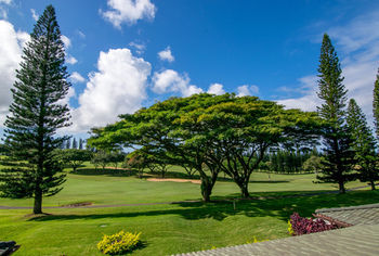 Hotel The Kapalua Villas