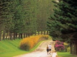 Hotel The Kapalua Villas