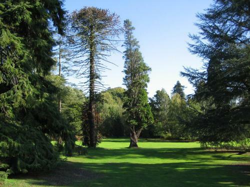 Hotel Easthampstead Park - Re Opened Nov2020 After Full Redesign And Refurbishment