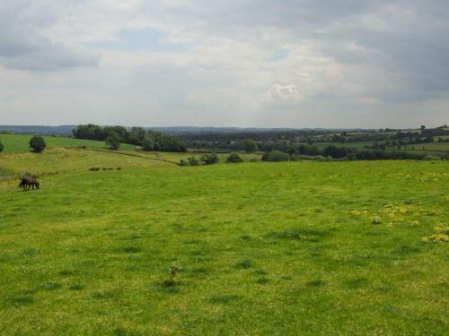 Little Cowarne Court