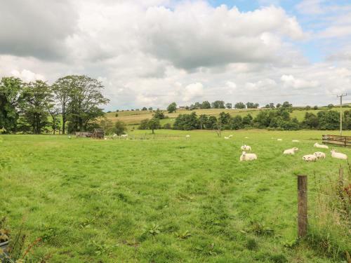Milking Parlour