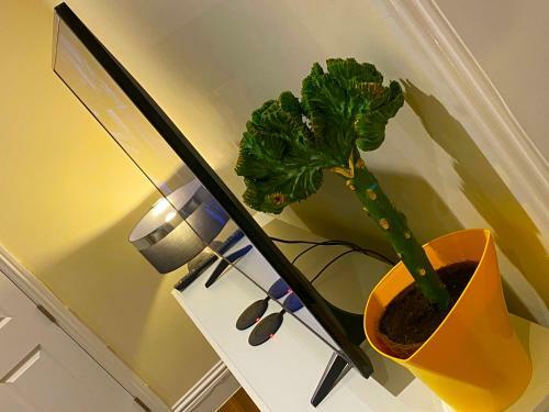 Luxury High Street Apartment