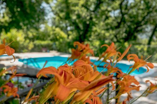 Apartments Miljan I Ranko