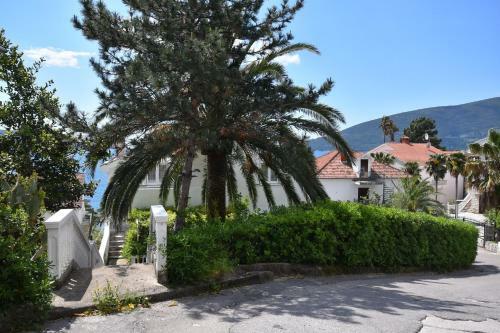 Nikic Apartments