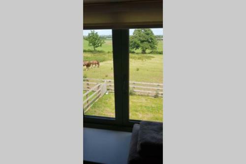 Agroturismo The Barn [mews}