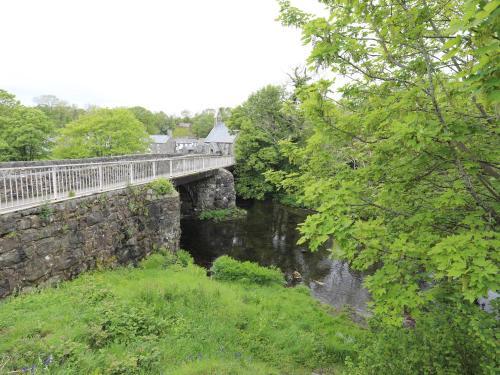 Celynfa
