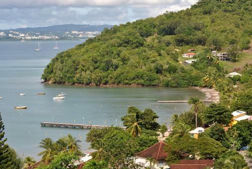 Apartamentos Cocokreyol