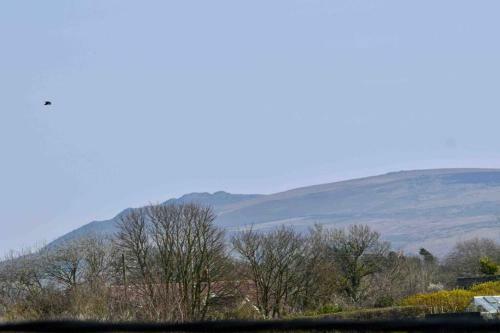 1 Tower Hill ,tranquil,private,tucked Away On A Nothrough Lane.