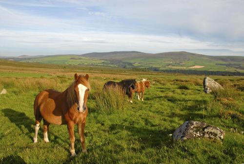 Penmynydd Uchaf