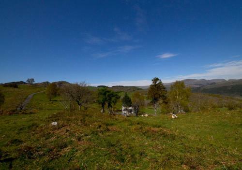 Llwyniarth