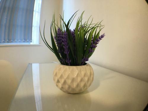 Apartamento Castle Terrace (b3 R4)