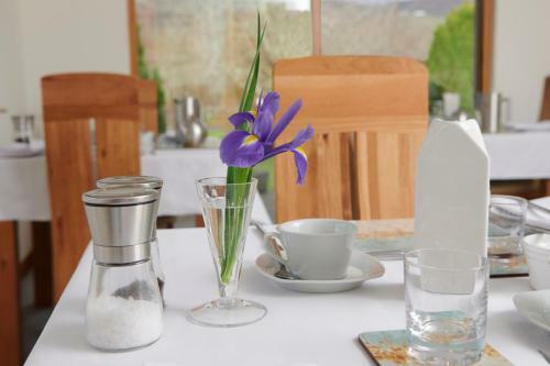 Woodlands Bed & Breakfast And Self Catering