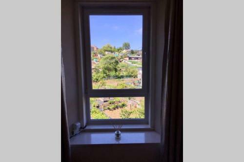 ? Bright, 2 Bedroom West End Apartment ?