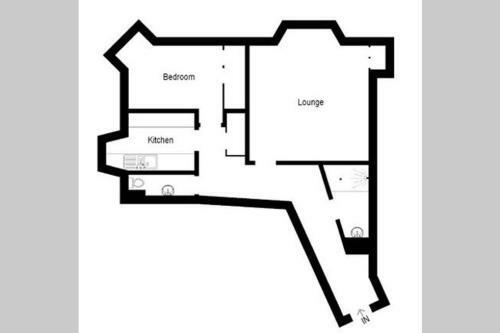 ? Central, Spacious Apartment Close To University?
