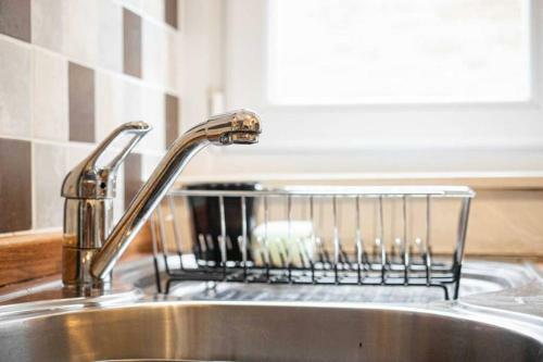 ? Central, Spacious Apartment Close To University?