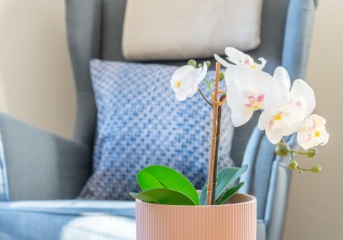 Apartamento The Waverley Park Terrace Residence