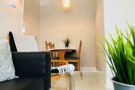 Easter Road Edinburgh Apartment