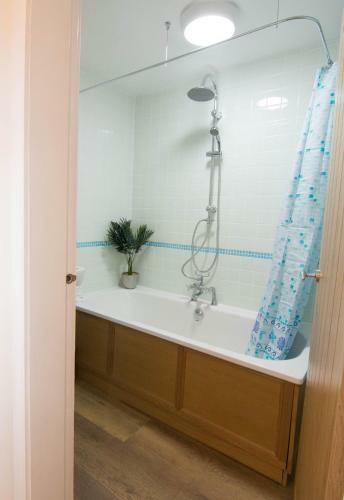 427 - Salmond Place Apartment