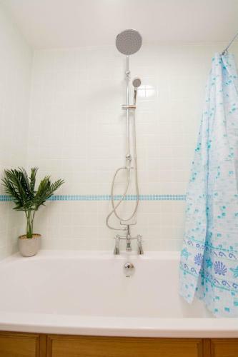 427 - Salmond Place Apartment
