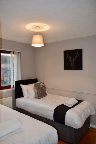 Kelpies Serviced Apartments Hamilton- 2 Bedrooms