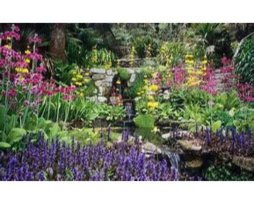 Trelawne Garden Annexe