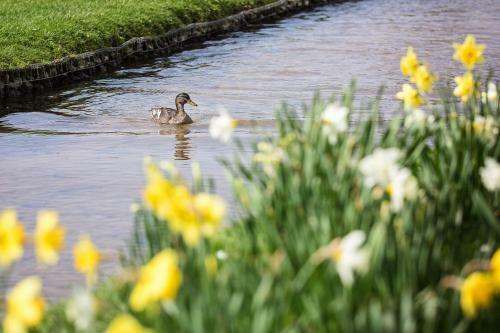 Posada The Ostrich Inn