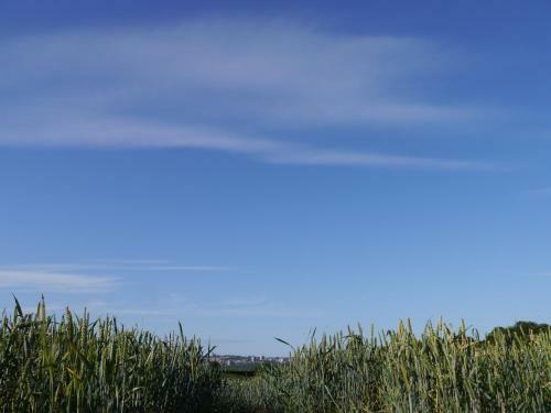 Apartamento Riding Farm Cottages