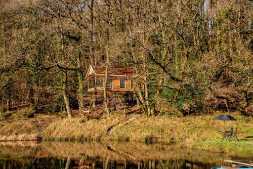 The Tree House - Eco-friendly, Back To Nature Experience