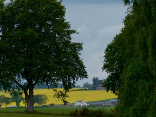 Drumshademuir Caravan & Camping Park