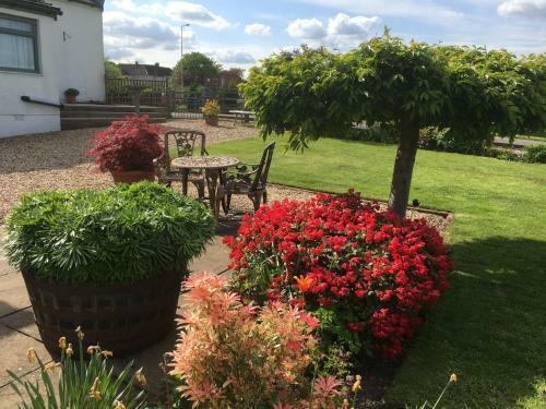 Auchenlea Lodges
