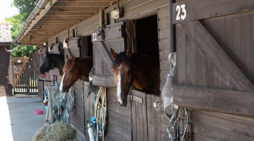 Apartamento Plum Guide - The Farrier